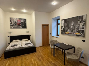 Cosy Studio with terrace near Florenc